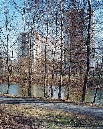 Untitled (Zevenhuizen)